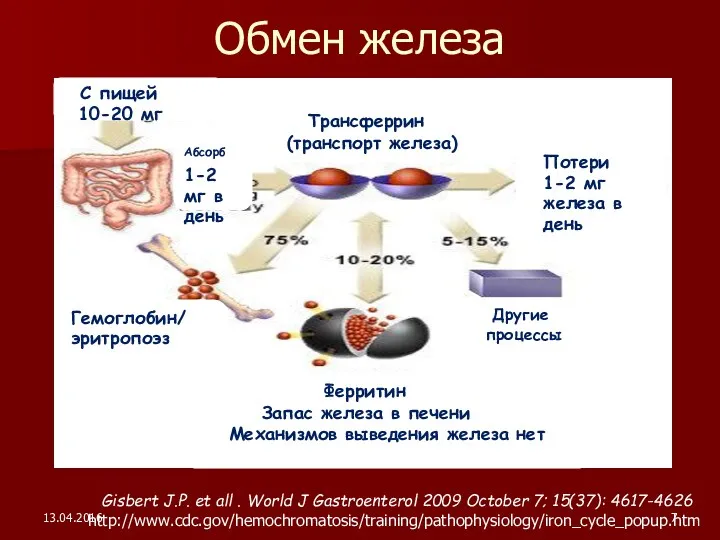 13.04.2016 http://www.cdc.gov/hemochromatosis/training/pathophysiology/iron_cycle_popup.htm Обмен железа Другие процессы Ферритин Запас железа в