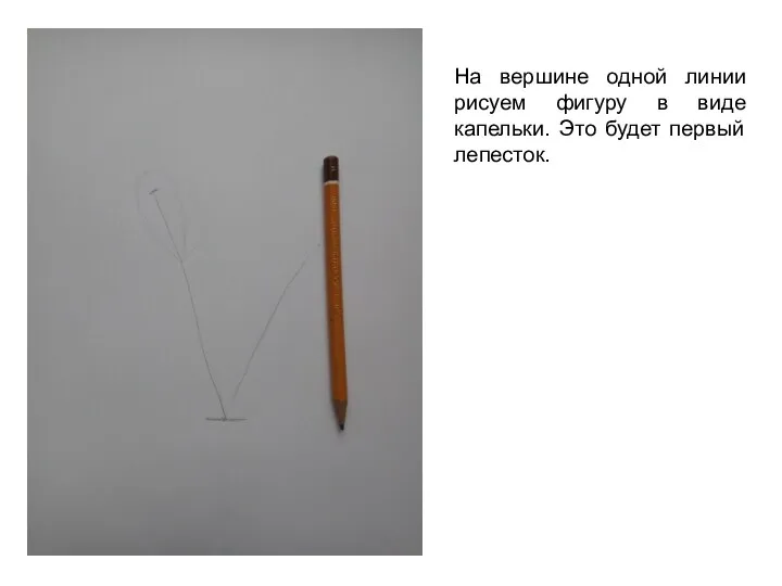 На вершине одной линии рисуем фигуру в виде капельки. Это будет первый лепесток.