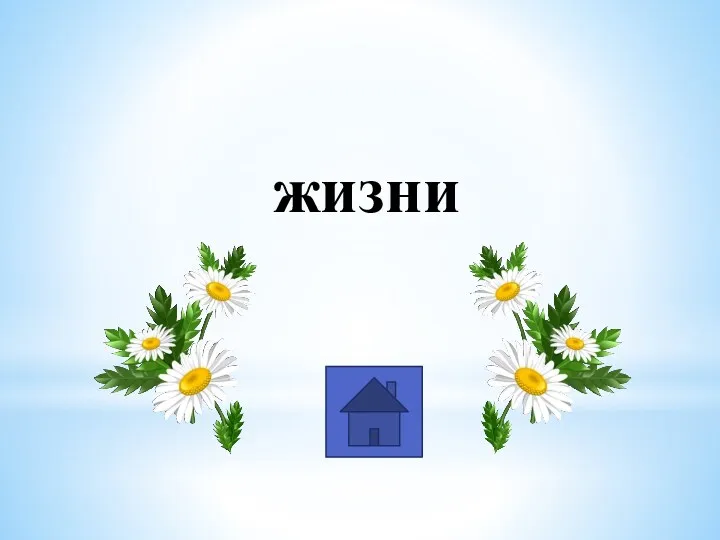 жизни