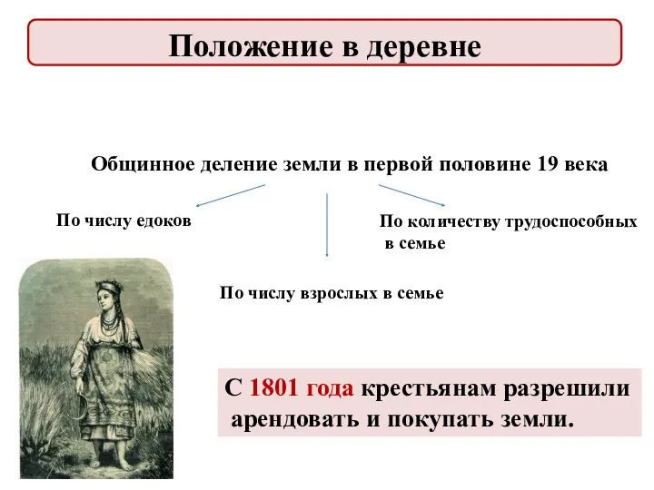 Общинное деление земли в первой половине 19 века По числу