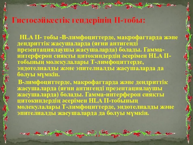 Гистосәйкестік гендерінің II-тобы: HLA II- тобы -В-лимфоциттерде, макрофагтарда және дендриттік