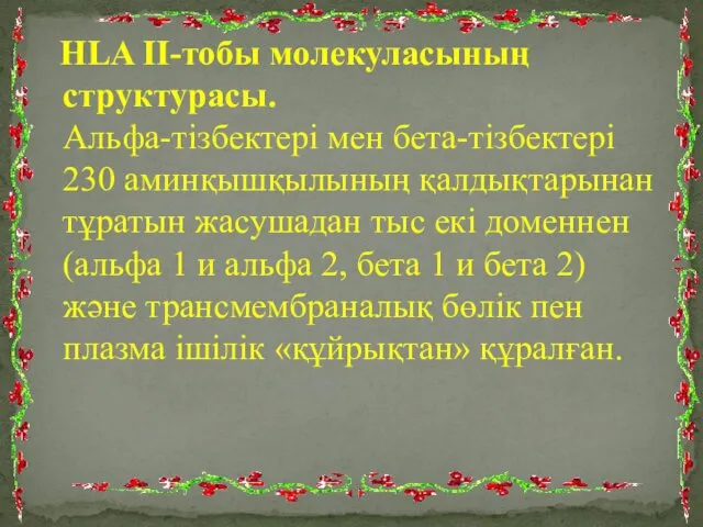 HLA II-тобы молекуласының структурасы. Альфа-тізбектері мен бета-тізбектері 230 аминқышқылының қалдықтарынан