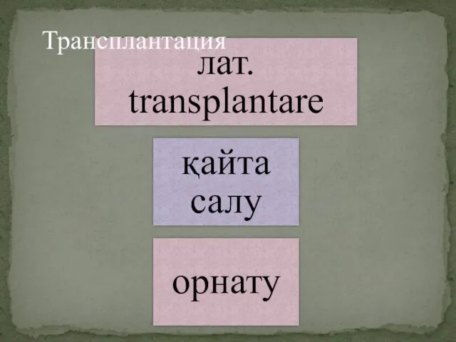 лат. transplantare қайта салу орнату Трансплантация