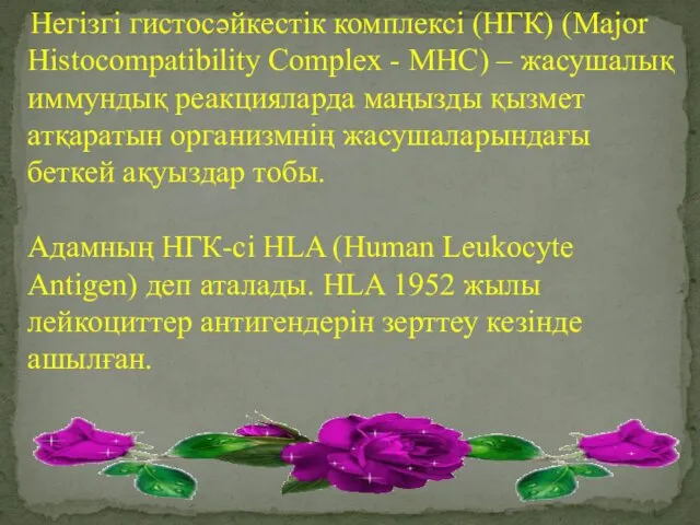 Негізгі гистосәйкестік комплексі (НГК) (Major Histocompatibility Соmplex - MHC) –