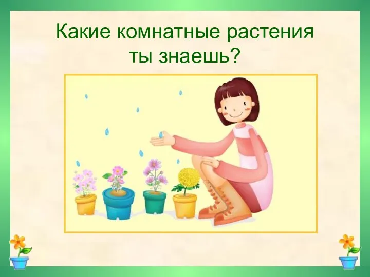 Какие комнатные растения ты знаешь?