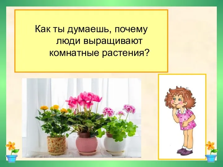 Как ты думаешь, почему люди выращивают комнатные растения?