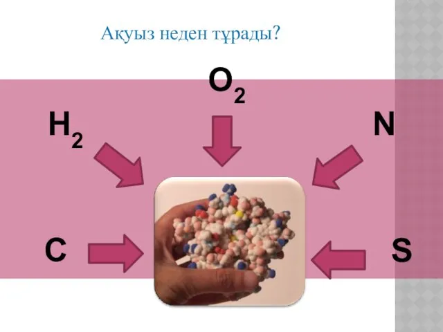 Ақуыз неден тұрады? O2 N C H2 S