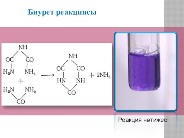 Биурет реакциясы Реакция нәтижесі