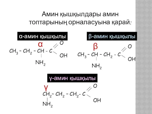 Амин қышқылдары амин топтарының орналасуына қарай: γ-амин қышқылы α-амин қышқылы β-амин қышқылы