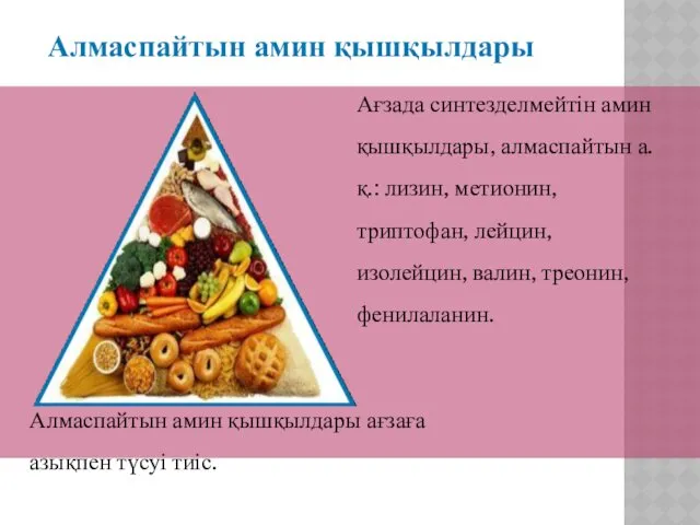 Алмаспайтын амин қышқылдары Ағзада синтезделмейтін амин қышқылдары, алмаспайтын а.қ.: лизин,