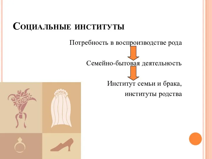 Социальные институты Потребность в воспроизводстве рода Семейно-бытовая деятельность Институт семьи и брака, институты родства