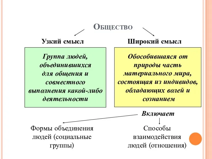 Обособившаяся от природы часть материального мира, состоящая из индивидов, обладающих