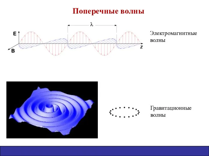 Поперечные волны Электромагнитные волны Гравитационные волны