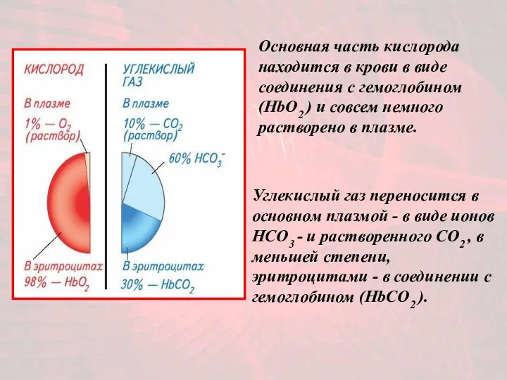 Основная часть кислорода находится в крови в виде соединения с гемоглобином (HbO2 )