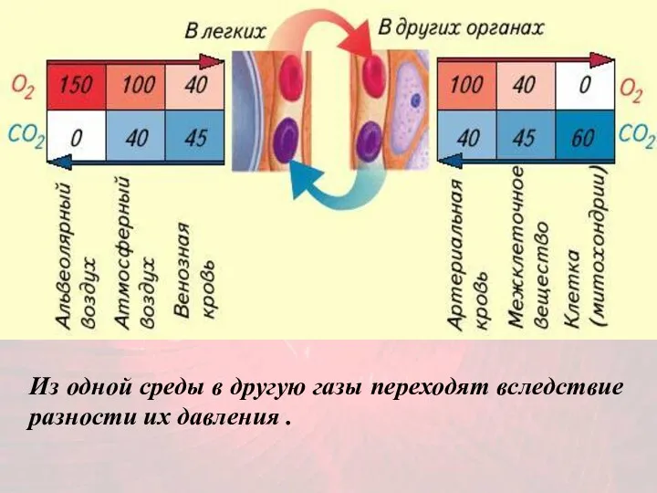 Из одной среды в другую газы переходят вследствие разности их давления .