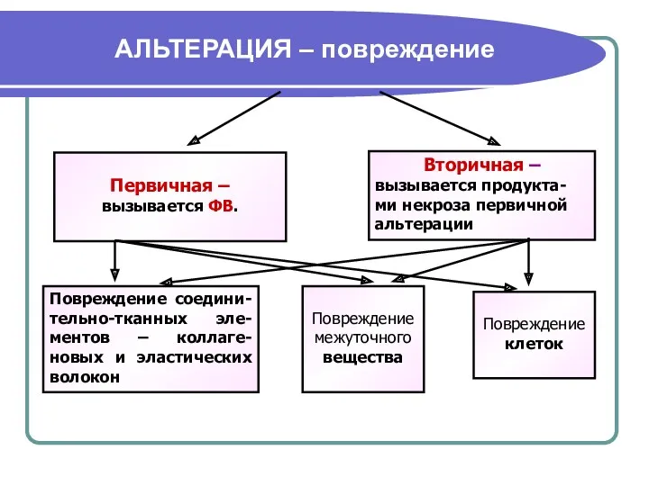 АЛЬТЕРАЦИЯ – повреждение