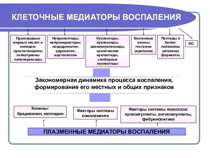 КЛЕТОЧНЫЕ МЕДИАТОРЫ ВОСПАЛЕНИЯ КЛЕТОЧНЫЕ МЕДИАТОРЫ ВОСПАЛЕНИЯ