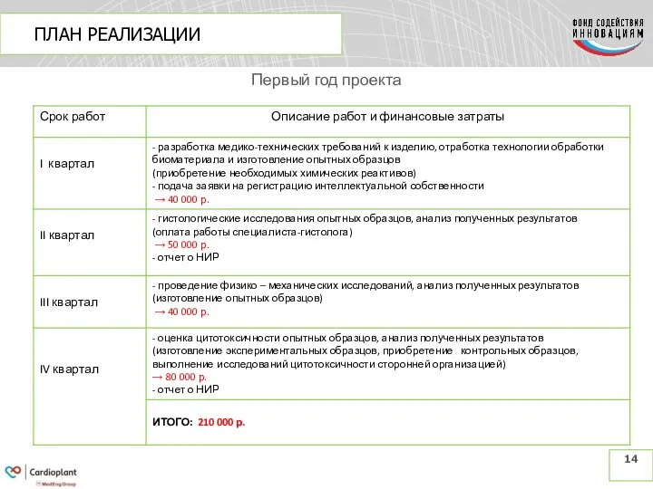 ПЛАН РЕАЛИЗАЦИИ Первый год проекта