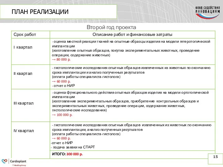 ПЛАН РЕАЛИЗАЦИИ Второй год проекта