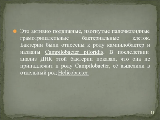 Это активно подвижные, изогнутые палочковидные грамотрицательные бактериальные клеток. Бактерии были