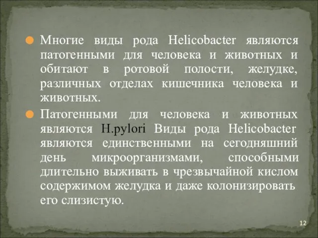 Многие виды рода Helicobacter являются патогенными для человека и животных