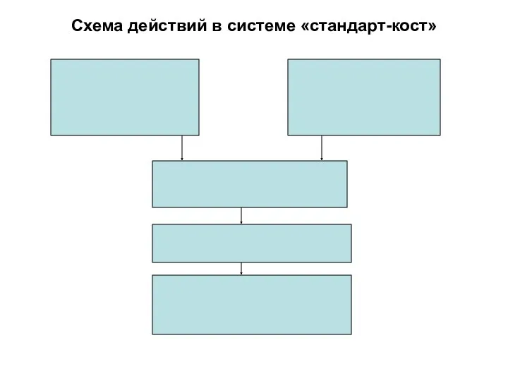 Схема действий в системе «стандарт-кост»