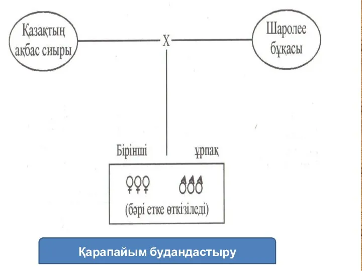 Қарапайым будандастыру