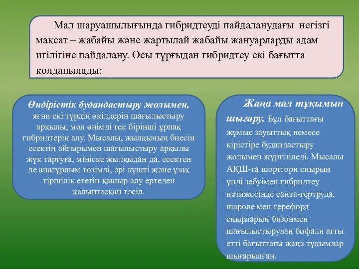 Мал шаруашылығында гибридтеуді пайдаланудағы негізгі мақсат – жабайы және жартылай