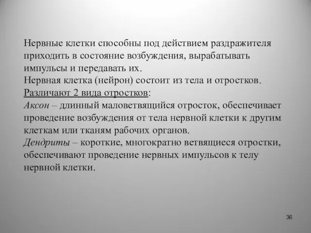 Нервные клетки способны под действием раздражителя приходить в состояние возбуждения,