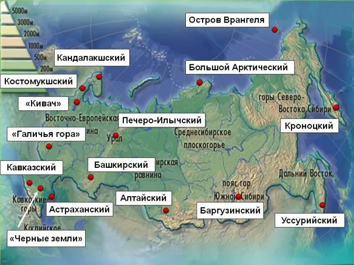 Заповедники и национальные парки России Географическая сеть заповедников на территории России создается на научной основе.