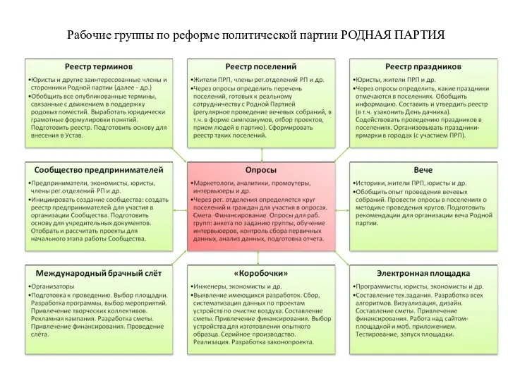 Рабочие группы по реформе политической партии РОДНАЯ ПАРТИЯ