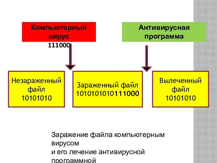 Компьютерный вирус 111000 Антивирусная программа Незараженный файл 10101010 Зараженный файл