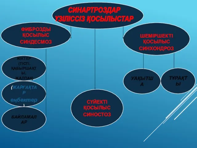 СИНАРТРОЗДАР ҮЗІЛІССІЗ ҚОСЫЛЫСТАР ФИБРОЗДЫ ҚОСЫЛЫС СИНДЕСМОЗ (ЖАРҒАҚТАР еңбектер) ЖІКТЕР (ТІСТІ,