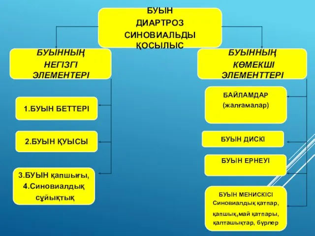 БУЫН ДИАРТРОЗ СИНОВИАЛЬДЫ ҚОСЫЛЫС 3.БУЫН қапшығы, 4.Синовиалдық сұйықтық БУЫННЫҢ НЕГІЗГІ