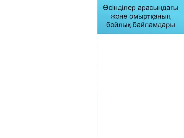 Өсінділер арасындағы және омыртқаның бойлық байламдары