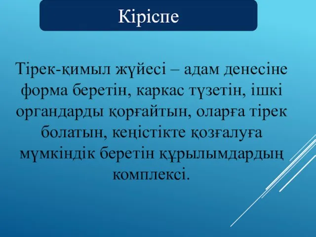 Тірек-қимыл жүйесі – адам денесіне форма беретін, каркас түзетін, ішкі