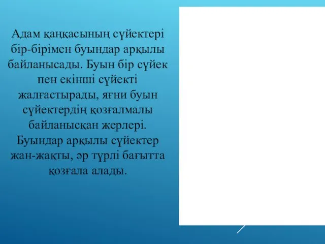 Адам қаңқасының сүйектері бір-бірімен буындар арқылы байланысады. Буын бір сүйек