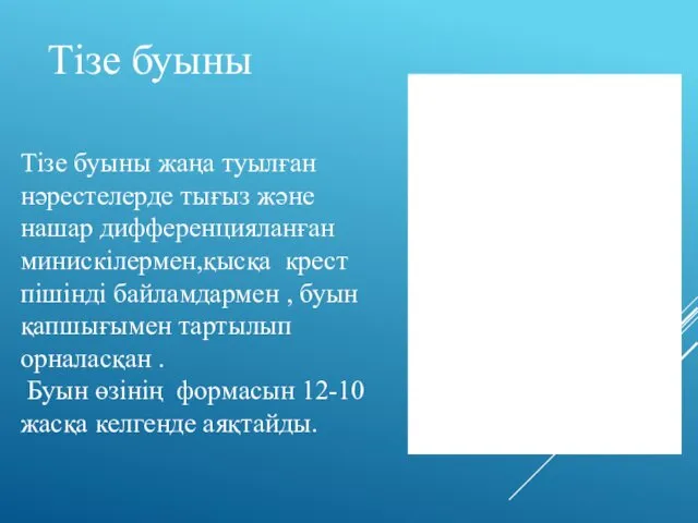 Тізе буыны Тізе буыны жаңа туылған нәрестелерде тығыз және нашар