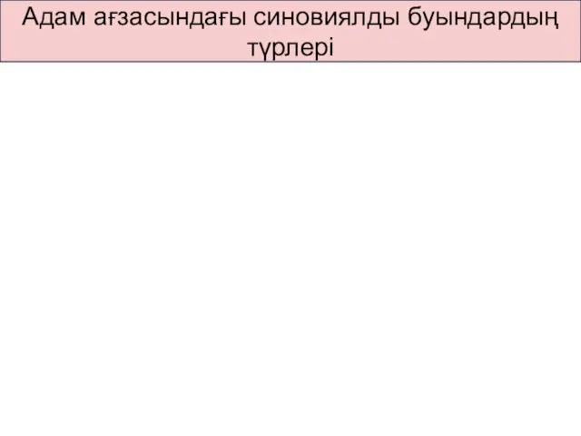 Адам ағзасындағы синовиялды буындардың түрлері