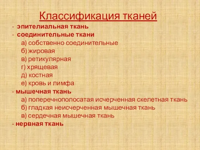 Классификация тканей - эпителиальная ткань - соединительные ткани а) собственно