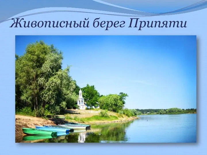 Живописный берег Припяти