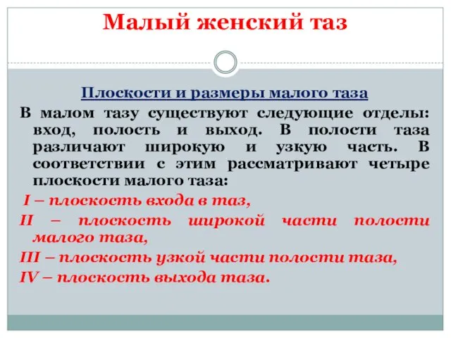 Малый женский таз Плоскости и размеры малого таза В малом