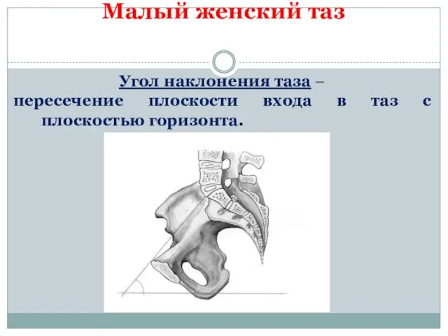 Малый женский таз Угол наклонения таза – пересечение плоскости входа в таз с плоскостью горизонта.