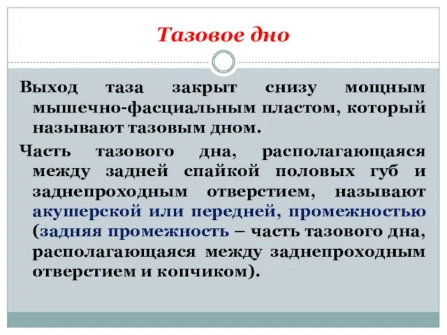 Тазовое дно Выход таза закрыт снизу мощным мышечно-фасциальным пластом, который