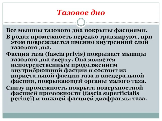 Тазовое дно Все мышцы тазового дна покрыты фасциями. В родах