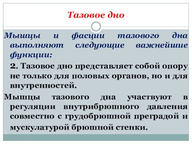 Тазовое дно Мышцы и фасции тазового дна выполняют следующие важнейшие