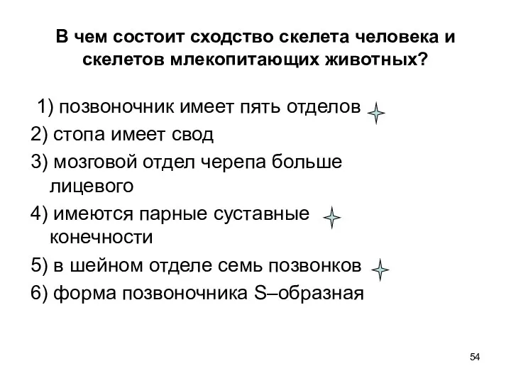 В чем состоит сходство скелета человека и скелетов млекопитающих животных?