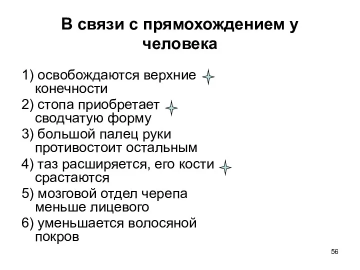 В связи с прямохождением у человека 1) освобождаются верхние конечности