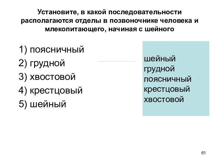 Установите, в какой последовательности располагаются отделы в позвоночнике человека и