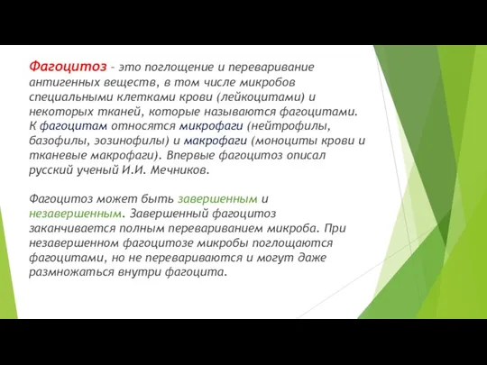 Фагоцитоз – это поглощение и переваривание антигенных веществ, в том числе микробов специальными